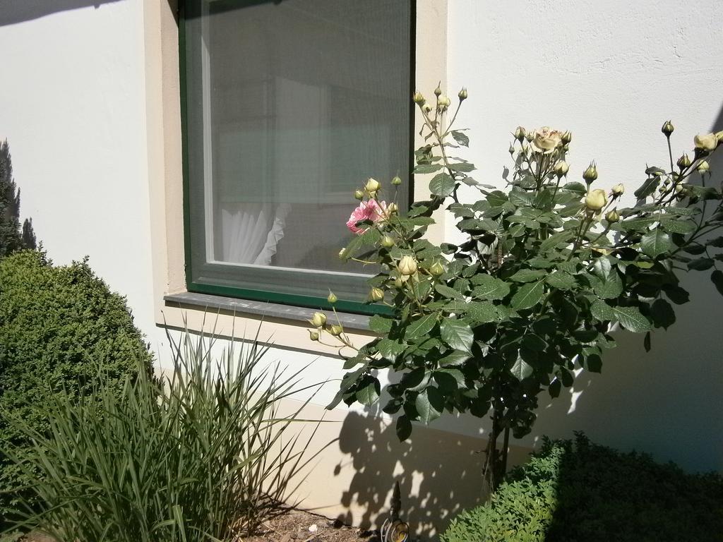 Apartment Atriumhof *